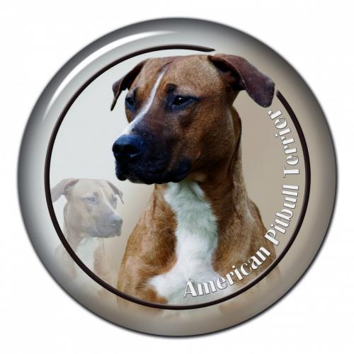 Dekaler med American Pit Bull Terrier