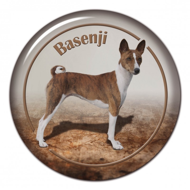 Dekaler med Basenji