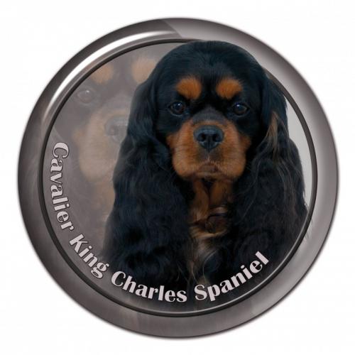 Dekaler med Cavalier King Charles Spaniel