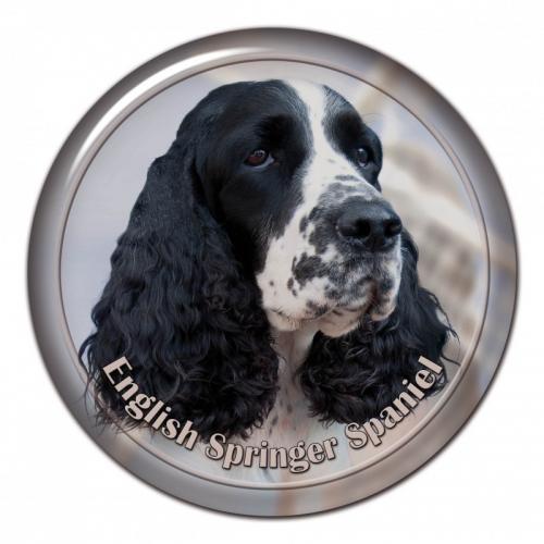 Dekaler med Engelsk Springer Spaniel