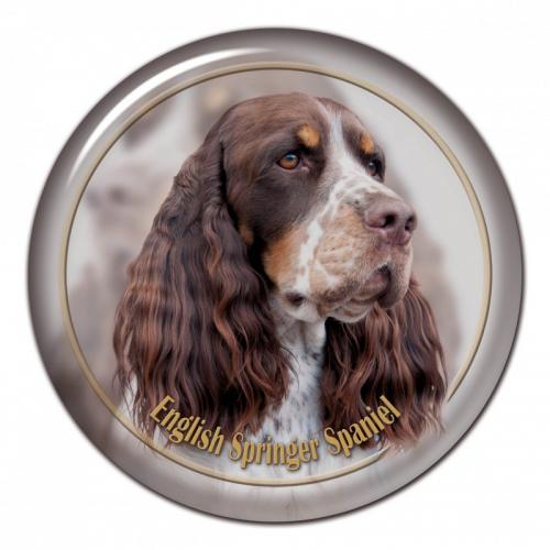 Dekaler med Engelsk Springer Spaniel