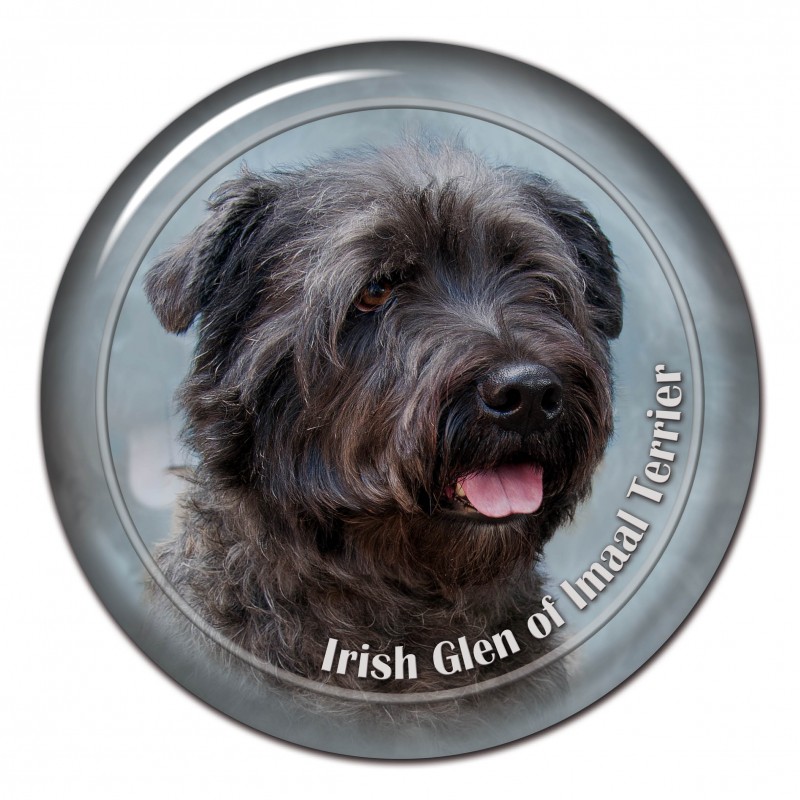 Dekaler med Irish Glen of Imaal Terrier
