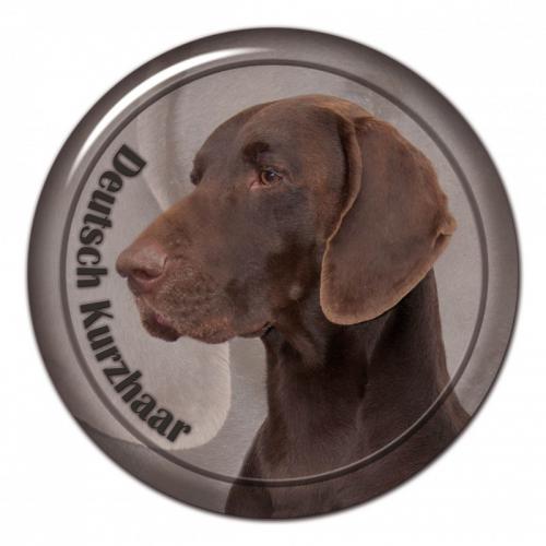 Dekaler med Korthårig Vorsteh