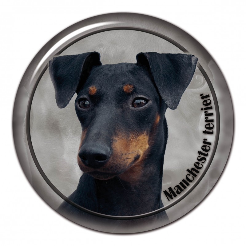 Dekaler med Manchesterterrier