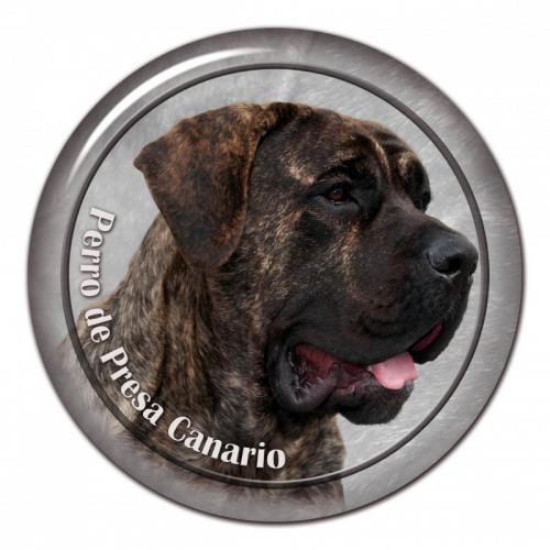 Dekaler med Dogo Canario