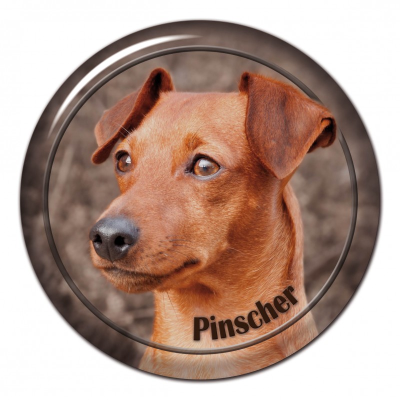 Dekaler med Pinscher