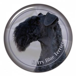 Dekaler med Kerry Blue Terrier