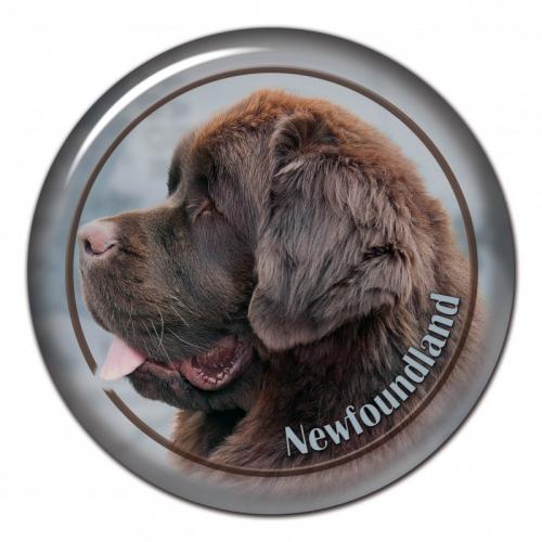 Dekaler med Newfoundland