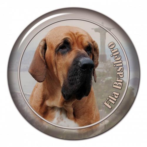 Dekaler med Fila Brasileiro