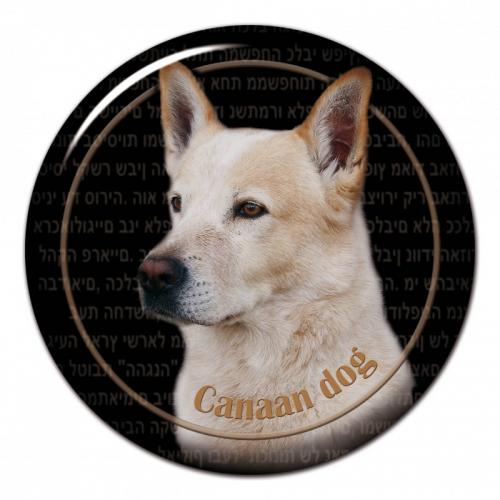 Dekaler med Canaan Dog