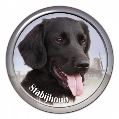 Dekaler med Stabyhoun