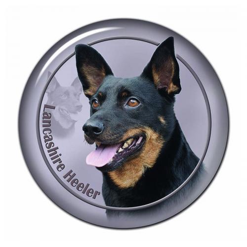 Dekaler med Lancashire Heeler