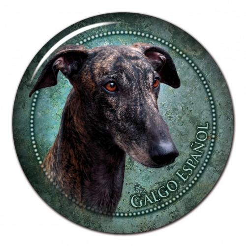 Dekaler med Galgo Espanol