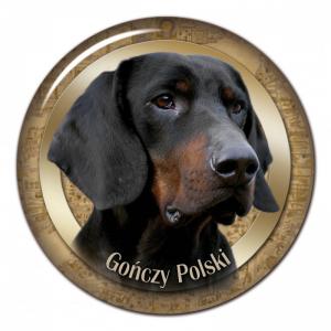 Dekaler med Gonczy Polski