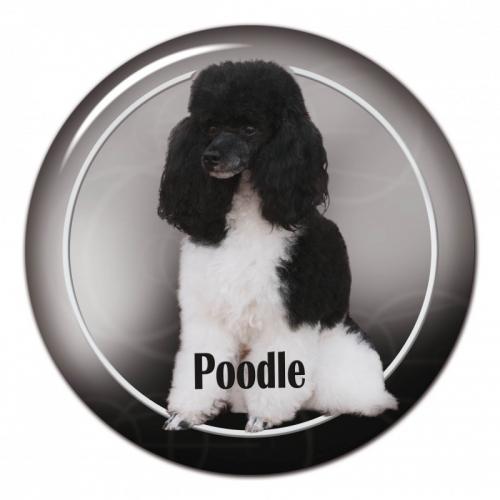 Dekaler med Pudel