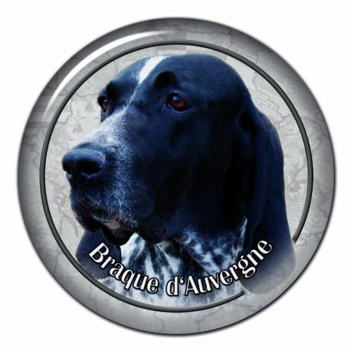 Dekaler med Braque de Ariege