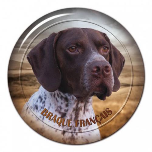 Dekaler med Braque Francais