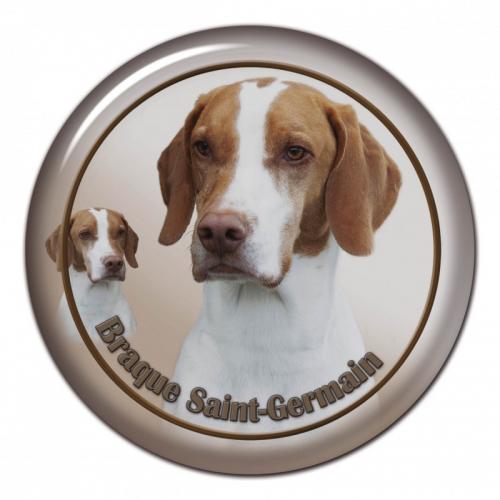 Dekaler med Braque Saint-Germain