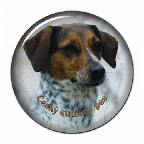 Dekaler med Cesky Strakaty Pes