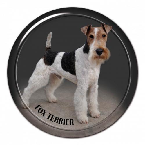 Dekaler med Strävhårig Foxterrier