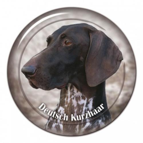 Dekaler med Korthårig Vorsteh