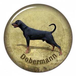 Dekaler med Dobermann
