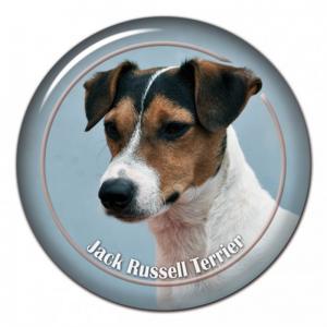 Dekaler med Jack Russel Terrier
