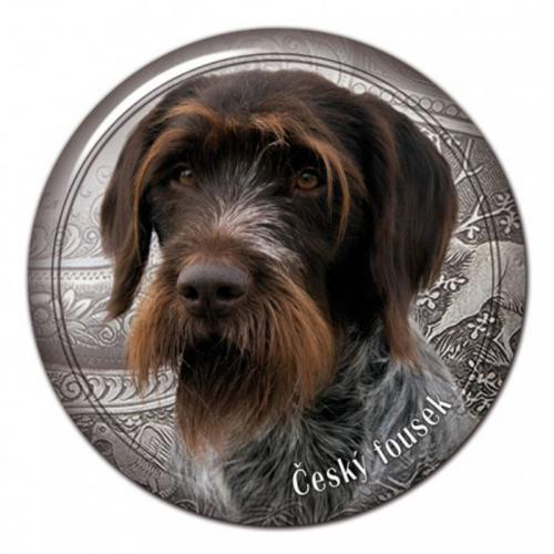 Dekaler med Cesky Fousek