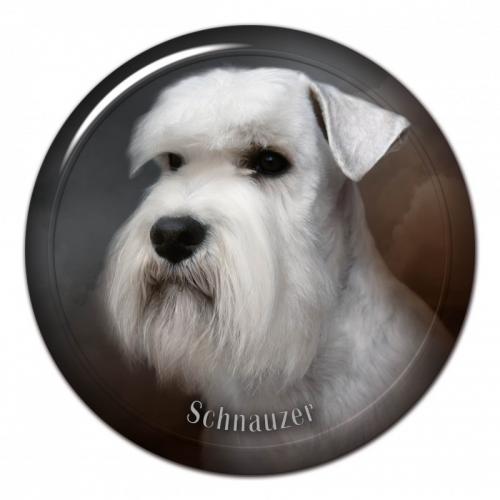 Dekaler med Schnauzer