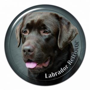 Dekaler med Labrador