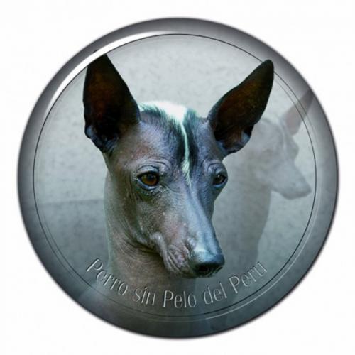 Dekaler med Perro Sin Pelo del Perú