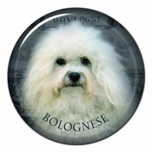 Dekaler med Bolognese