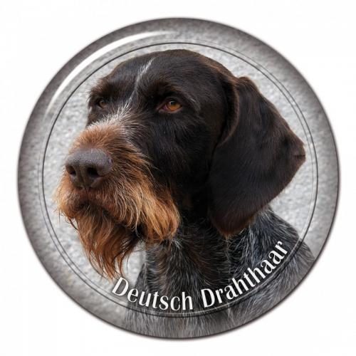 Dekaler med Strävhårig Vorsteh