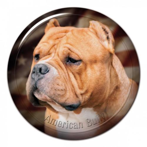Dekaler med American Bully