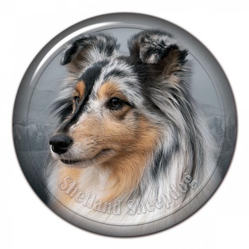 Dekaler med Shetland Sheepdog