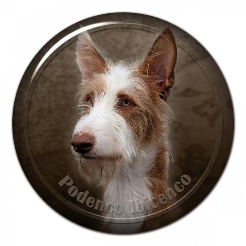 Dekaler med Podenco Ibicenco