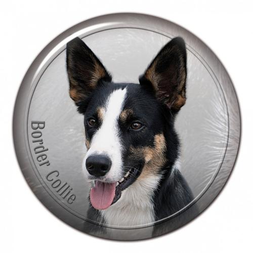Dekaler med Border Collie