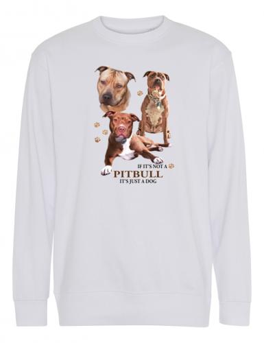 Collegetröja med American Pit Bull Terrier