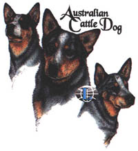 T-shirt med Australian Cattle Dog
