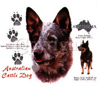 T-shirt med Australian Cattle Dog