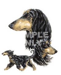 T-shirt i barnstorlek med Afghanhund