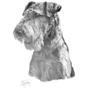 T-shirt med Airdaleterrier