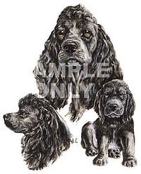 T-shirt med Cocker Spaniel