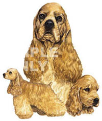 T-shirt med Cocker Spaniel