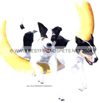 T-shirt med agilitymotiv