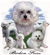 T-shirt med Bichon Frisé