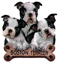T-shirt med Bostonterrier