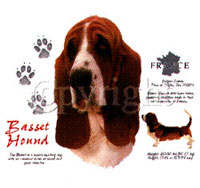 T-shirt med Basset Hound