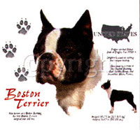 T-shirt med Bostonterrier