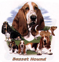 T-shirt med Basset Hound
